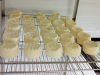 La Ferme de Trofalher - affinage de fromages de chèvre