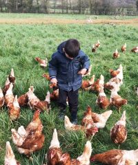 La Ferme en Cavale