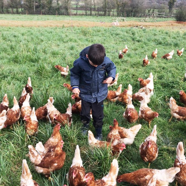 La Ferme en Cavale