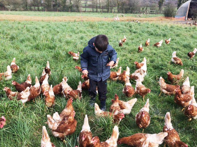 La Ferme en Cavale