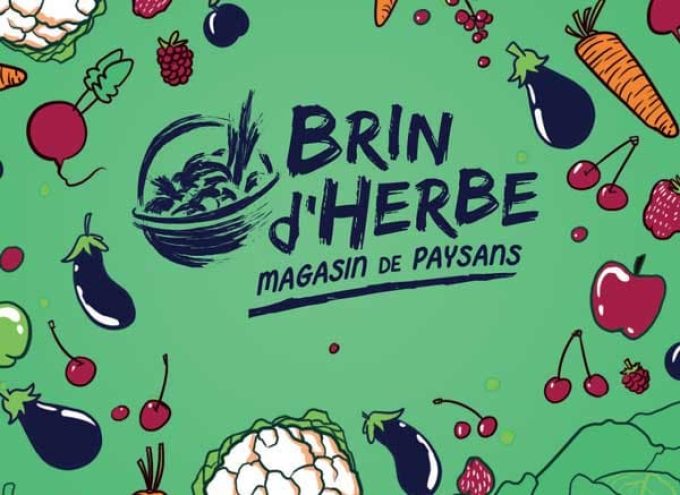 Logo de Brin d'Herbe, magasin de producteurs