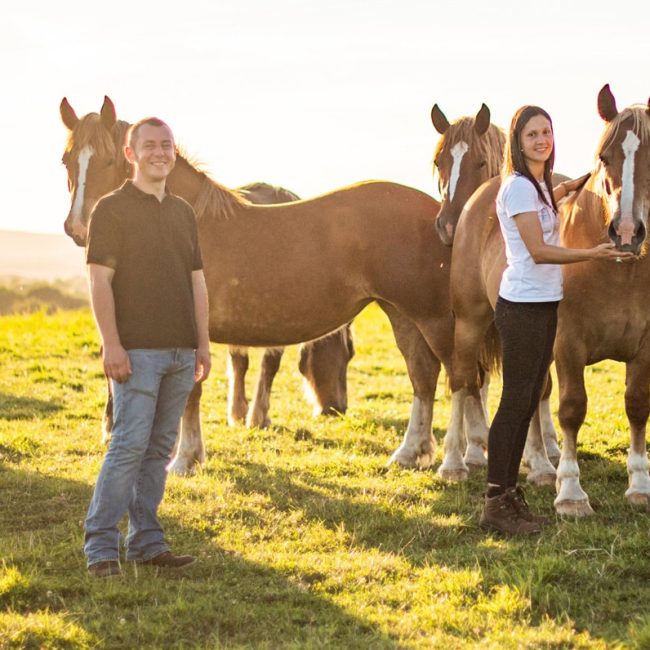 La Jumenterie de Cornouaille