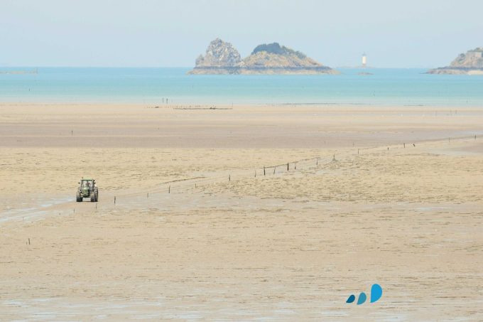 La Perle des Grèves - Baie du Mont Saint Michel