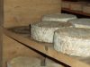 La Tomme du Névet
