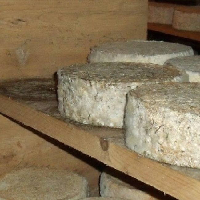 La Tomme du Névet