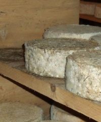 La Tomme du Névet