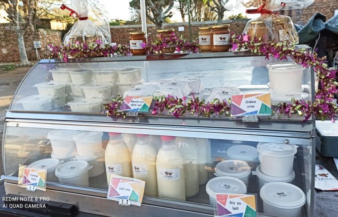 Lait Bréhatines - produits laitiers