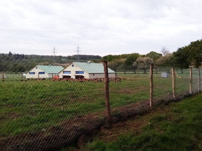 Batiments pour les poulets