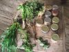 Quelques cultures pour la consommation