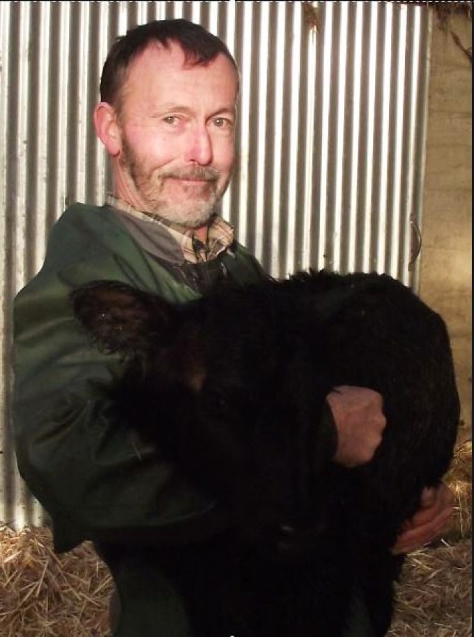 Jean-Yves et la naissance d'un petit veau