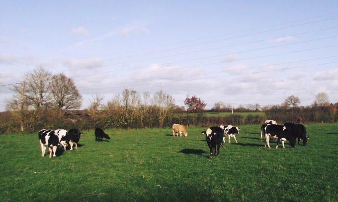 Ferme du biaù chemin des landes