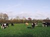 Ferme du biaù chemin des landes