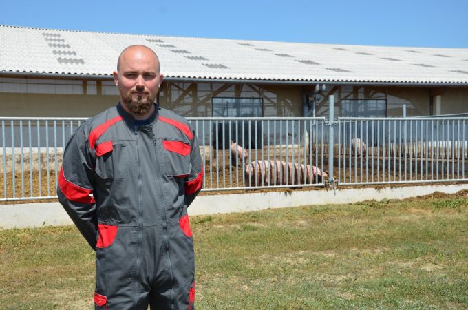 Le Cochon d'Où Don - votre serviteur