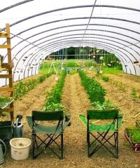 Les Légumes de La Forêt