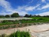 Les légumes de Fab - cultures plein champ