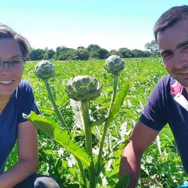 Les Bons Légumes de Kerlijouan