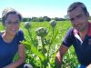 Les Bons Légumes de Kerlijouan