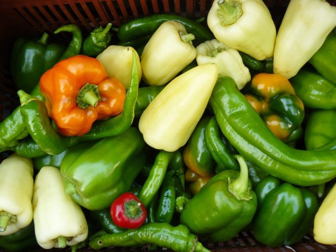Piments et poivrons