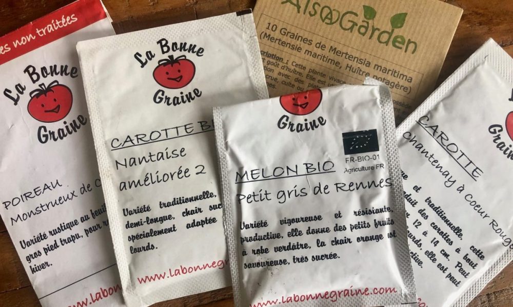 14 variétés de légumes à cultiver pour un potager 100 % breton 