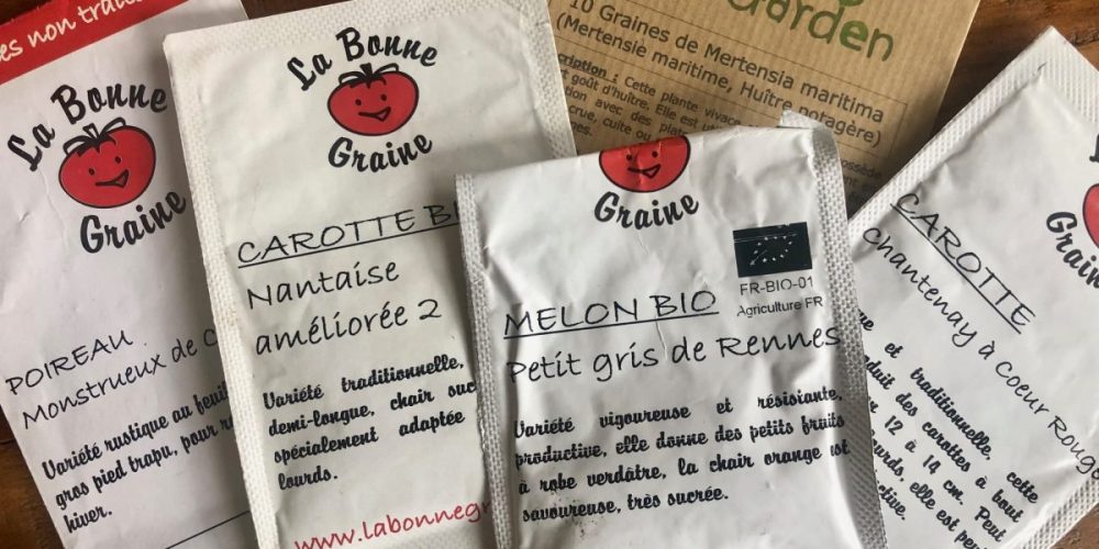 14 variétés de légumes à cultiver pour un potager 100 % breton 