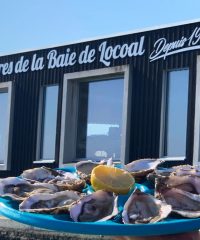 Les huîtres de la Baie de Locoal