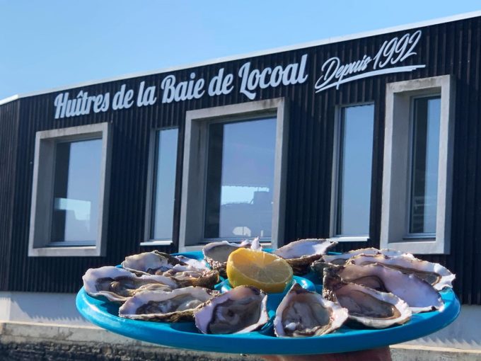 Les huîtres de la Baie de Locoal