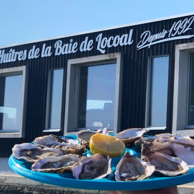 Les huîtres de la Baie de Locoal