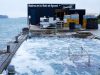 Huîtres élevées en pleine mer