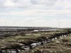 Les Huîtres de la Baie de Locoal