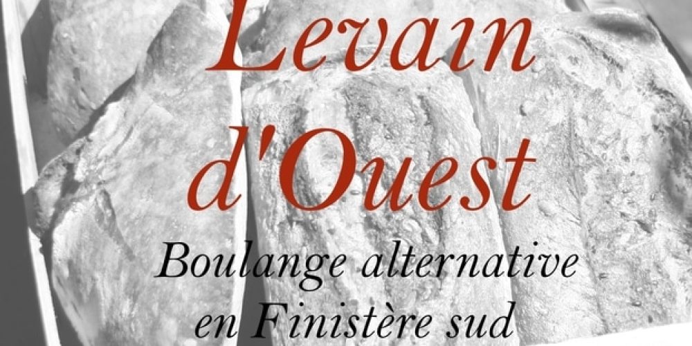 Levain d&rsquo;Ouest : boulange alternative en Finistère Sud