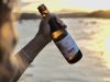 Little Joy Kombucha