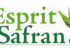 Logo Esprit Safran