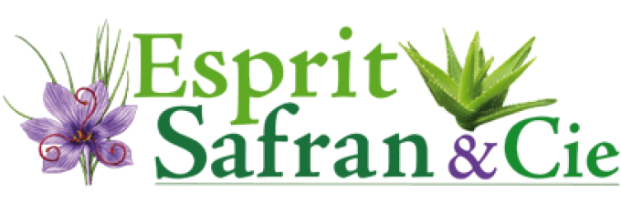 Logo Esprit Safran