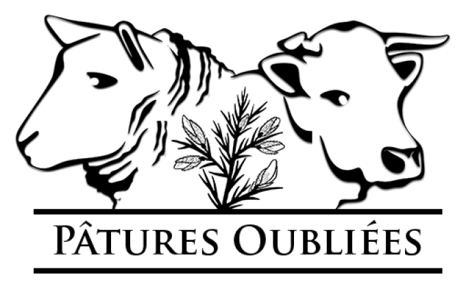 Pâtures oubliées