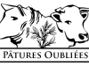 Pâtures oubliées