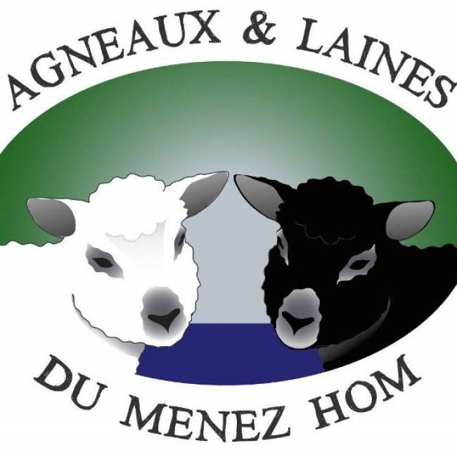 Agneaux et laines du Menez Hom
