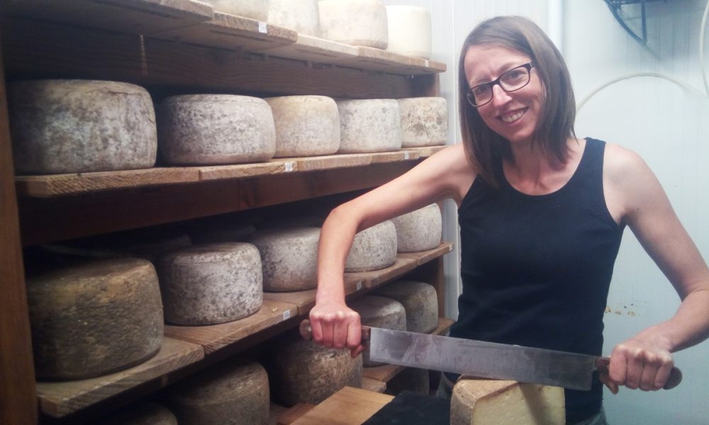 La Lyre à fromage : Fromages de lait de brebis, cru, bio et local