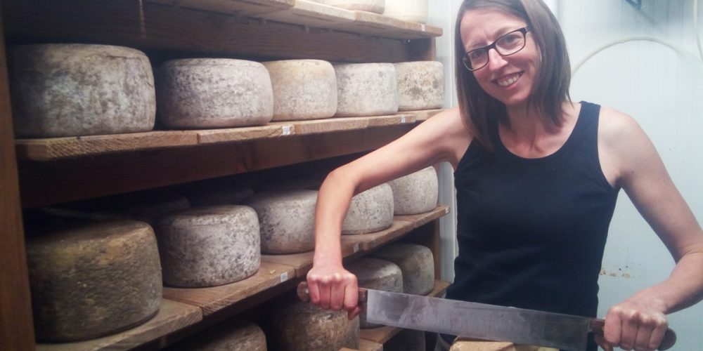 La Lyre à fromage : Fromages de lait de brebis, cru, bio et local