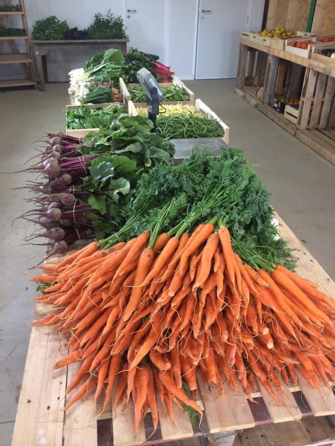 Vente de légumes au magasin