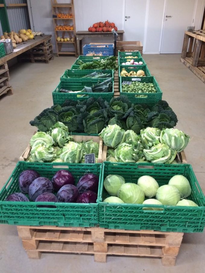 Vente de légumes au magasin