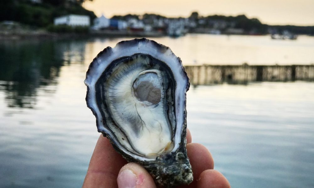 Huîtres : Saison, Types, Élevage, Calibres, Variétés… [GUIDE COMPLET]
