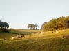 Bocage