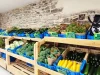 Légumes