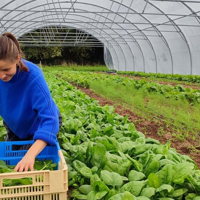 Les Maraîchers du Bourg