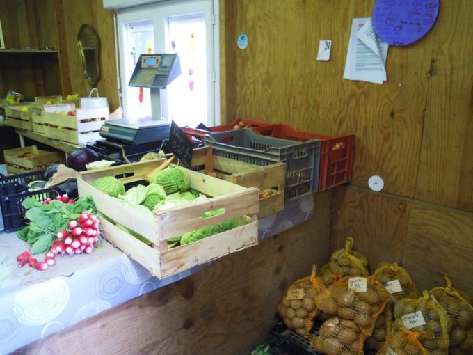 Paniers de légumes, livraison possible