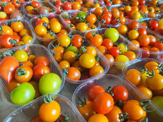 Tomates Cerises