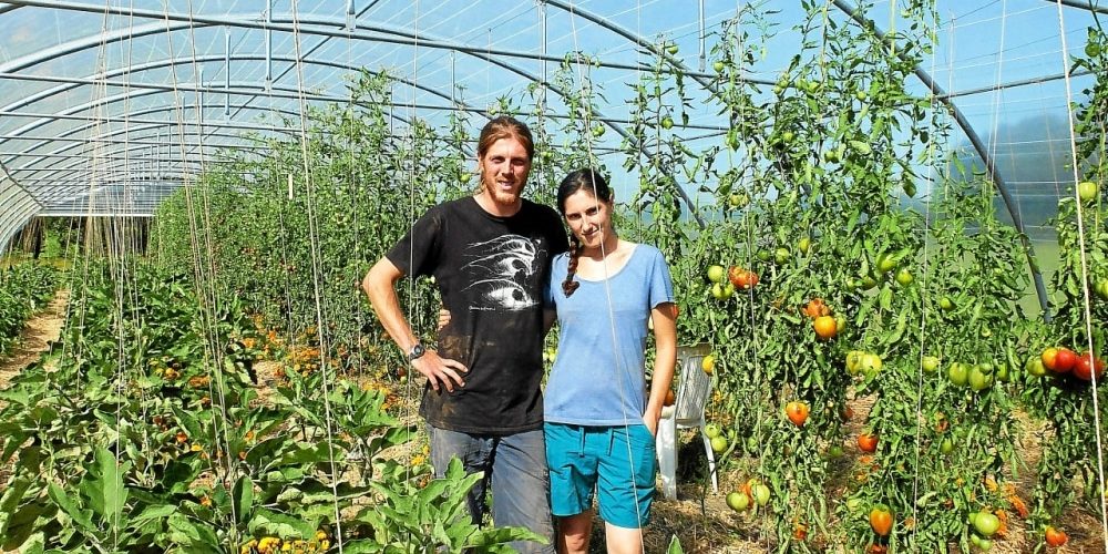 Projet d&rsquo;installation en maraîchage BIO : ces producteurs nous racontent tout !