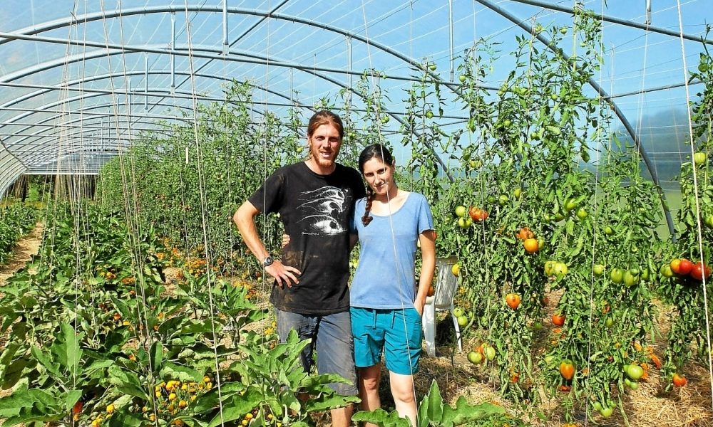 Projet d&rsquo;installation en maraîchage BIO : ces producteurs nous racontent tout !