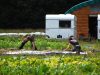 Travail au potager