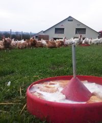 La Ferme de Marie-Jeanne
